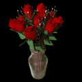 dozen_red_roses_expand_vase_md_blk.gif